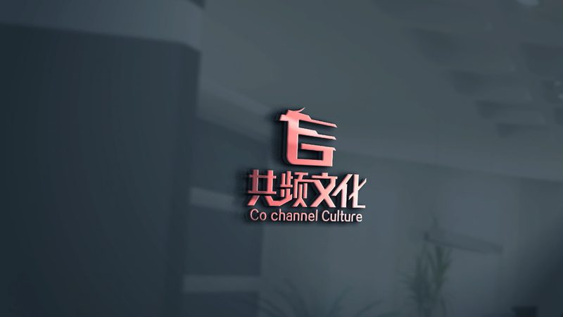 短视频拍摄入门，设备选型攻略：价格与性能的平衡之道**