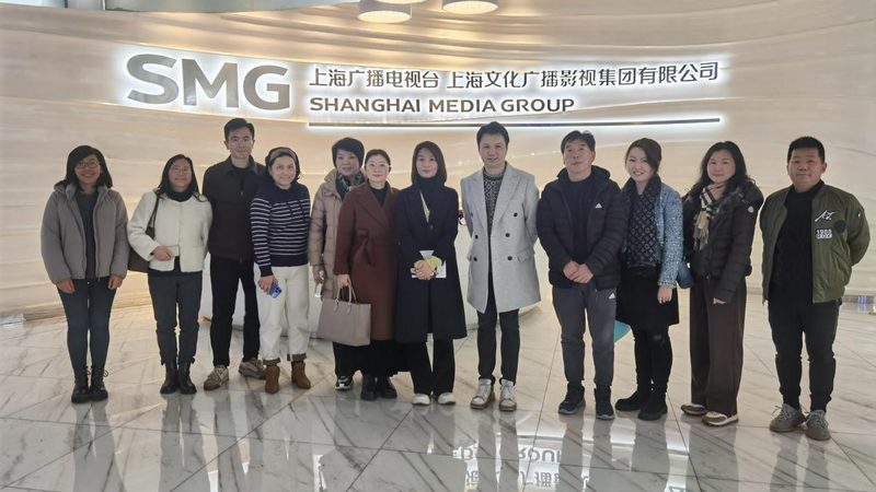 mg动画定制服务：揭秘高品质动画制作的秘密