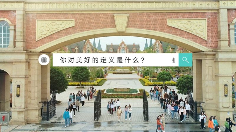 品牌设计全案：价格背后的考量因素